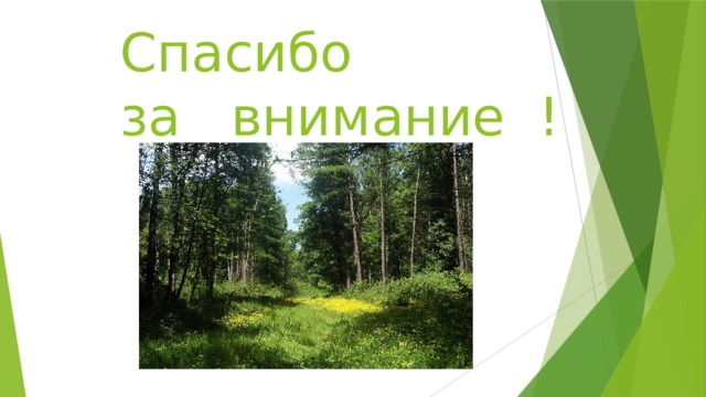 Спасибо  за внимание ! 