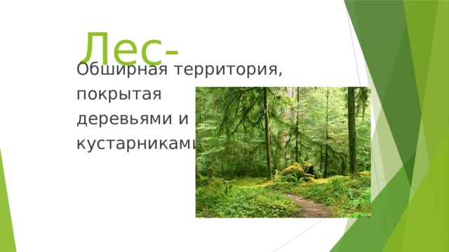 Лес- Обширная территория, покрытая деревьями и кустарниками. 