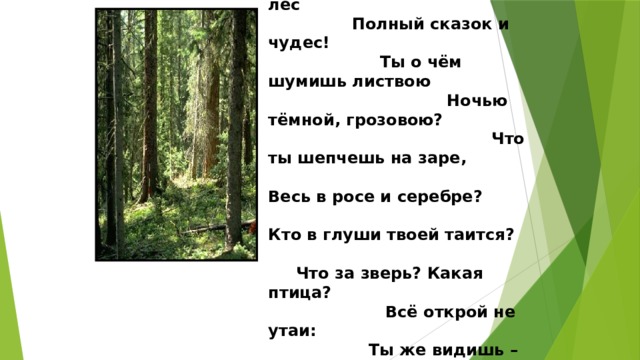  Здравствуй лес, дремучий лес Полный сказок и чудес! Ты о чём шумишь листвою Ночью тёмной, грозовою? Что ты шепчешь на заре, Весь в росе и серебре? Кто в глуши твоей таится? Что за зверь? Какая птица? Всё открой не утаи: Ты же видишь – мы свои. 