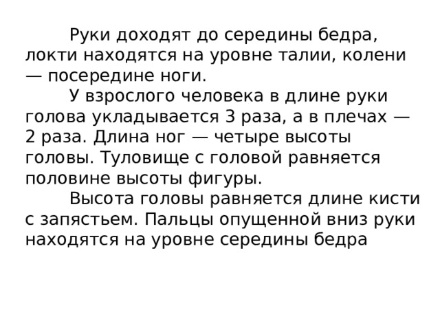  Руки доходят до середины бедра, локти находятся на уровне талии, колени — посередине ноги.  У взрослого человека в длине руки голова укладывается 3 раза, а в плечах — 2 раза. Длина ног — четыре высоты головы. Туловище с головой равняется половине высоты фигуры.  Высота головы равняется длине кисти с запястьем. Пальцы опущенной вниз руки находятся на уровне середины бедра 