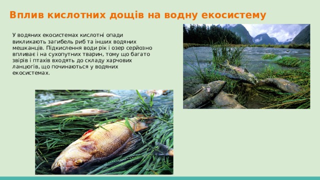 Вплив кислотних дощів на водну екосистему У водяних екосистемах кислотні опади викликають загибель риб та інших водяних мешканців. Підкислення води рік і озер серйозно впливає і на сухопутних тварин, тому що багато звірів і птахів входять до складу харчових ланцюгів, що починаються у водяних екосистемах. 