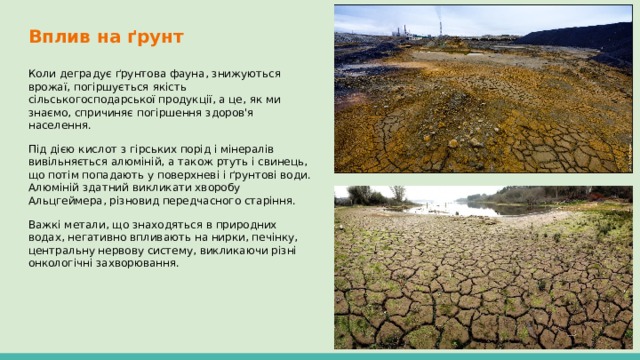 Вплив на ґрунт Коли деградує ґрунтова фауна, знижуються врожаї, погіршується якість сільськогосподарської продукції, а це, як ми знаємо, спричиняє погіршення здоров'я населення. Під дією кислот з гірських порід і мінералів вивільняється алюміній, а також ртуть і свинець, що потім попадають у поверхневі і ґрунтові води. Алюміній здатний викликати хворобу Альцгеймера, різновид передчасного старіння. Важкі метали, що знаходяться в природних водах, негативно впливають на нирки, печінку, центральну нервову систему, викликаючи різні онкологічні захворювання. 