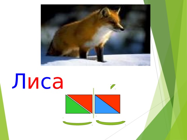 Л и с а 