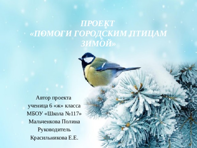 Проект  «Помоги городским птицам зимой»      Автор проекта ученица 6 «ж» класса МБОУ «Школа №117» Мальченкова Полина Руководитель Красильникова Е.Е. 