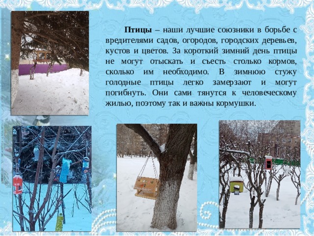 Птицы – наши лучшие союзники в борьбе с вредителями садов, огородов, городских деревьев, кустов и цветов. За короткий зимний день птицы не могут отыскать и съесть столько кормов, сколько им необходимо. В зимнюю стужу голодные птицы легко замерзают и могут погибнуть. Они сами тянутся к человеческому жилью, поэтому так и важны кормушки. 