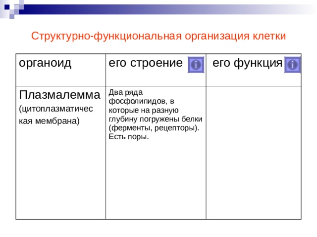 Структурно-функциональная организация клетки органоид его строение Плазмалемма (цитоплазматичес кая мембрана)  его функция Два ряда фосфолипидов, в которые на разную глубину погружены белки (ферменты, рецепторы). Есть поры. Образец сворачивания информации источника: заполнение 2 колонки таблицы  