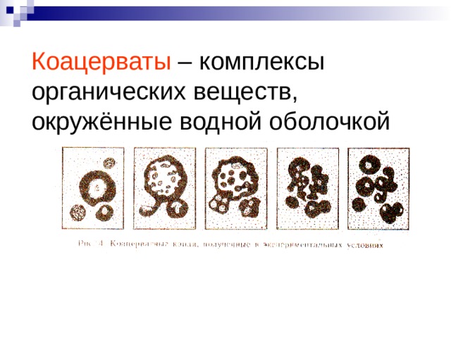 Коацерваты – комплексы органических веществ, окружённые водной оболочкой Гипотеза абиогенного происхождения жизни. Пробионты.  