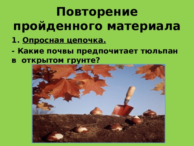 Повторение пройденного материала 1. Опросная цепочка. - Какие почвы предпочитает тюльпан в открытом грунте? 