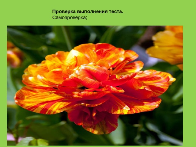  Проверка выполнения теста.  Самопроверка; 