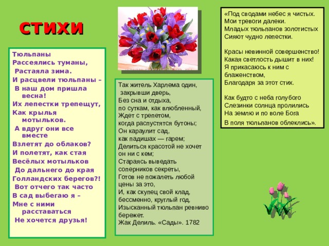 «Под сводами небес я чистых.  Мои тревоги далеки.  Младых тюльпанов золотистых  Сияют чудно лепестки.   Красы невинной совершенство!  Какая светлость дышит в них!  Я прикасаюсь к ним с блаженством,  Благодаря за этот стих.   Как будто с неба голубого  Слезинки солнца пролились  На землю и по воле Бога  В поля тюльпанов облеклись».  стихи Тюльпаны Рассеялись туманы,  Растаяла зима. И расцвели тюльпаны –  В наш дом пришла весна! Их лепестки трепещут, Как крылья мотыльков.  А вдруг они все вместе Взлетят до облаков? И полетят, как стая Весёлых мотыльков  До дальнего до края Голландских берегов?!  Вот отчего так часто В сад выбегаю я – Мне с ними расставаться  Не хочется друзья!   Так житель Харлема один,  закрывши дверь,  Без сна и отдыха, по суткам, как влюбленный,  Ждет с трепетом, когда распустятся бутоны;  Он караулит сад, как падишах — гарем;  Делиться красотой не хочет он ни с кем;  Стараясь выведать соперников секреты,  Готов не пожалеть любой цены за это,  И, как скупец свой клад, бессменно, круглый год,  Изысканный тюльпан ревниво бережет.  Жак Делиль. «Сады». 1782   