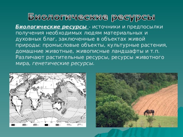 Биологические ресурсы - источники и предпосылки получения необходимых людям материальных и духовных благ, заключенные в объектах живой природы: промысловые объекты, культурные растения, домашние животные, живописные ландшафты и т.п. Различают растительные ресурсы, ресурсы животного мира, генетические ресурсы.  