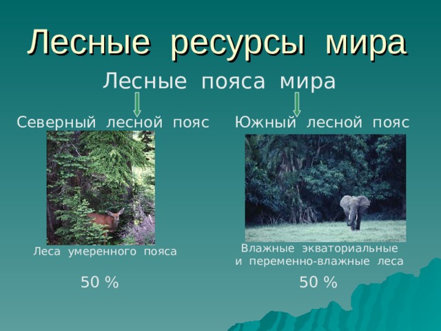 Лесные ресурсы мира Лесные пояса мира Северный лесной пояс Южный лесной пояс Влажные экваториальные и переменно-влажные леса Леса умеренного пояса 50 % 50 % 