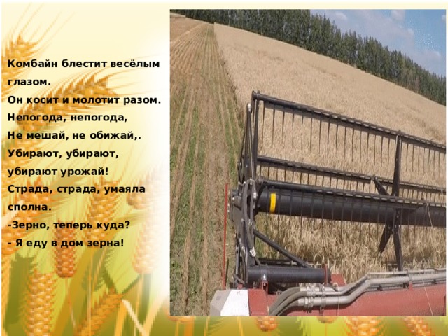 Комбайн блестит весёлым глазом. Он косит и молотит разом. Непогода, непогода, Не мешай, не обижай,. Убирают, убирают, убирают урожай! Страда, страда, умаяла сполна. -Зерно, теперь куда? - Я еду в дом зерна! 