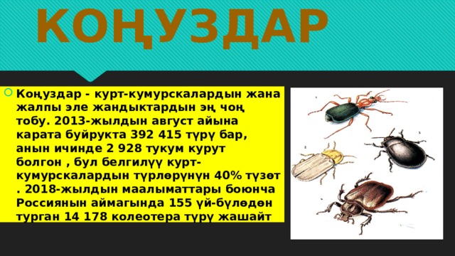 Коңуздар Коңуздар - курт-кумурскалардын жана жалпы эле жандыктардын эң чоң тобу. 2013-жылдын август айына карата буйрукта 392 415 түрү бар, анын ичинде 2 928 тукум курут болгон , бул белгилүү курт-кумурскалардын түрлөрүнүн 40% түзөт . 2018-жылдын маалыматтары боюнча Россиянын аймагында 155 үй-бүлөдөн турган 14 178 колеотера түрү жашайт 