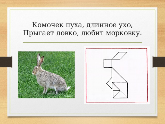 Комочек пуха, длинное ухо, Прыгает ловко, любит морковку. 
