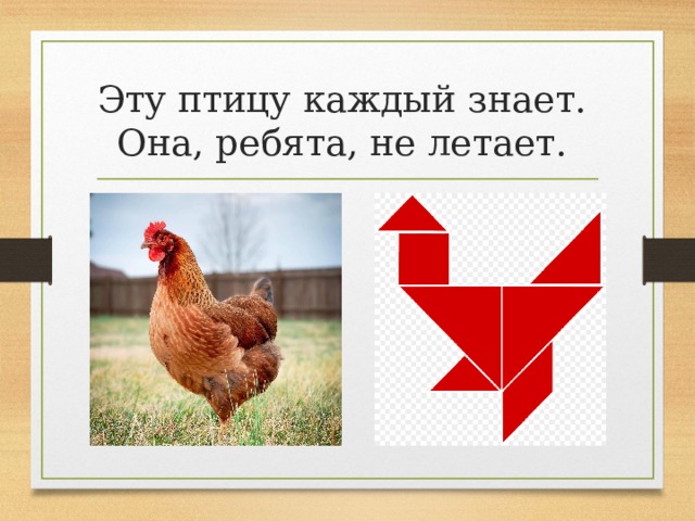 Эту птицу каждый знает.  Она, ребята, не летает. 