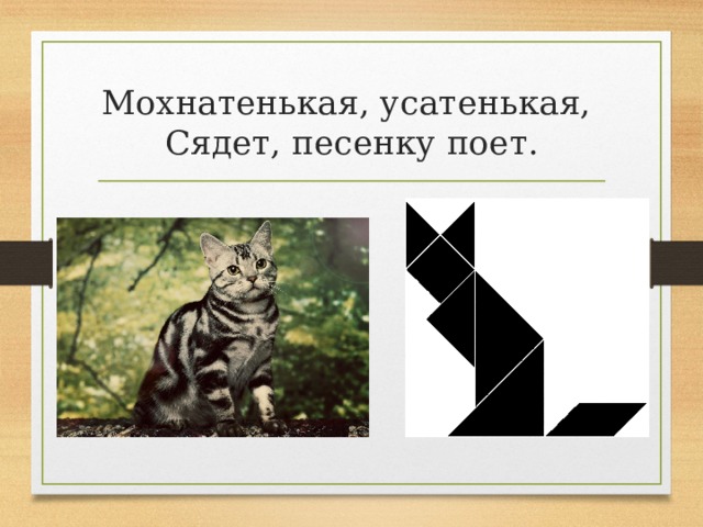 Мохнатенькая, усатенькая,  Сядет, песенку поет. 