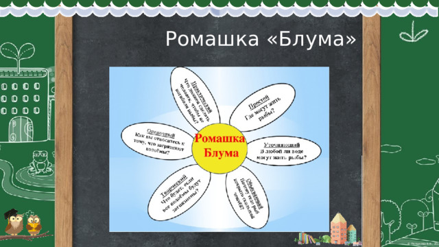  Ромашка «Блума» 