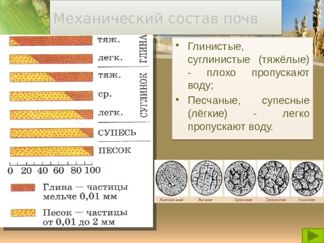 Механический состав почв Глинистые, суглинистые (тяжёлые) - плохо пропускают воду; Песчаные, супесные (лёгкие) - легко пропускают воду. 