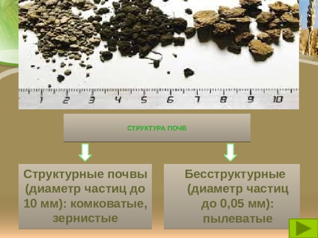Структура почв  важна для развития растительности.  Она обеспечивает проницаемость воздуха, влаги, питательных веществ  Структура почв   Структурные почвы (диаметр частиц до 10 мм): комковатые, зернистые  Бесструктурные (диаметр частиц до 0,05 мм): пылеватые 
