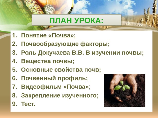 План урока: Понятие «Почва»; Почвообразующие факторы; Роль Докучаева В.В. В изучении почвы; Вещества почвы; Основные свойства почв; Почвенный профиль; Видеофильм «Почва» ; Закрепление изученного; Тест. 