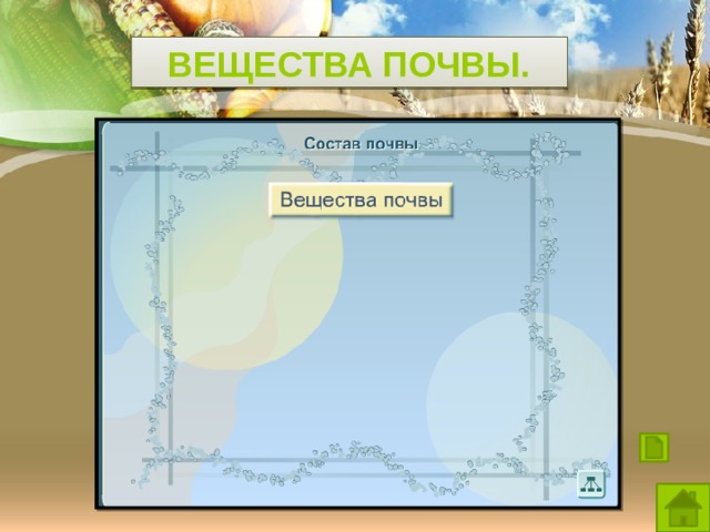 Вещества почвы. 
