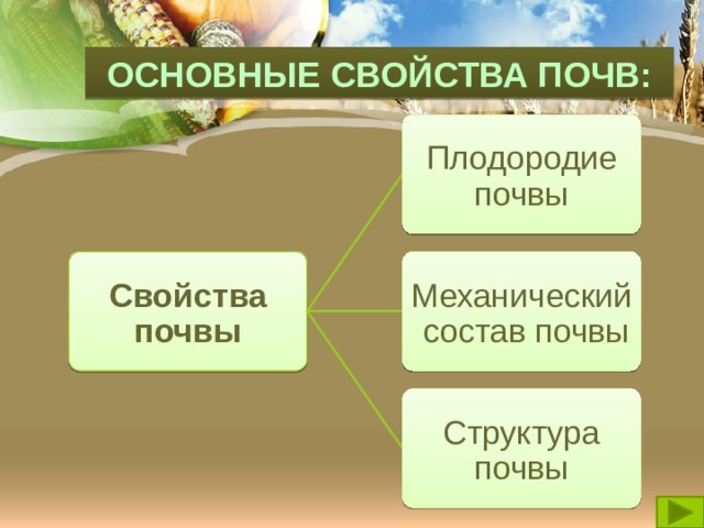 ОСНОВНЫЕ СВОЙСТВА ПОЧВ: Плодородие почвы Свойства почвы Механический состав почвы Структура почвы 