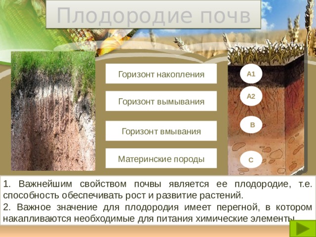 Плодородие почв Горизонт накопления А1 А2 Горизонт вымывания  В Горизонт вмывания Материнские породы  С 1. Важнейшим свойством почвы является ее плодородие, т.е. способность обеспечивать рост и развитие растений. 2. Важное значение для плодородия имеет перегной, в котором накапливаются необходимые для питания химические элементы. 