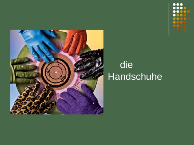   die Handschuhe 