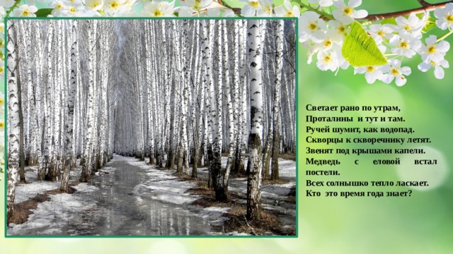 Светает рано по утрам, Проталины и тут и там. Ручей шумит, как водопад. Скворцы к скворечнику летят. Звенят под крышами капели. Медведь с еловой встал постели. Всех солнышко тепло ласкает. Кто это время года знает? 