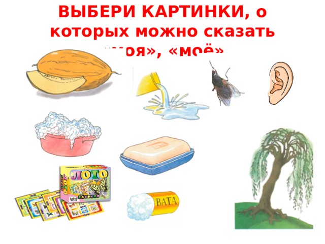 ВЫБЕРИ КАРТИНКИ, о которых можно сказать «моя», «моё» 