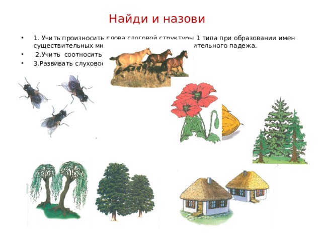 Найди и назови 1. Учить произносить слова слоговой структуры 1 типа при образовании имен существительных множественного числа именительного падежа.  2.Учить соотносить слова и картинки. 3.Развивать слуховое и зрительное внимание. 