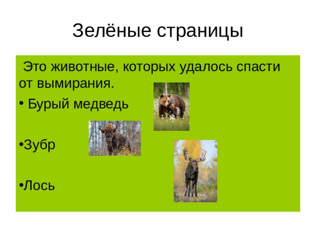 Зелёные страницы  Это животные, которых удалось спасти от вымирания.  Бурый медведь  Зубр  Лось 
