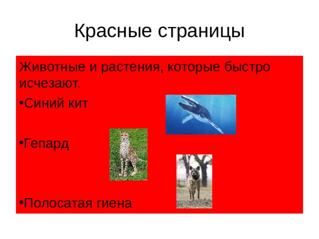 Красные страницы Животные и растения, которые быстро исчезают. Синий кит  Гепард   Полосатая гиена  