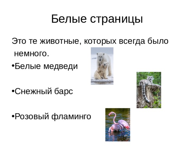 Белые страницы Это те животные, которых всегда было  немного. Белые медведи Снежный барс  Розовый фламинго 