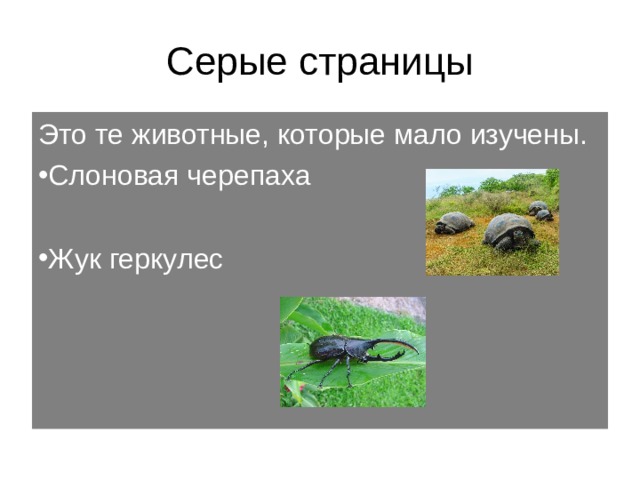 Серые страницы Это те животные, которые мало изучены. Слоновая черепаха  Жук геркулес 
