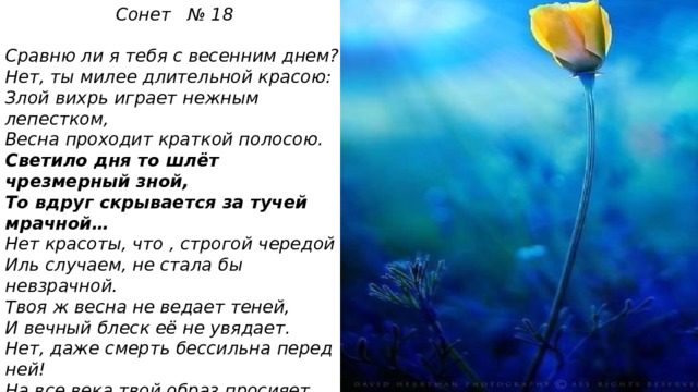 Сонет № 18  Сравню ли я тебя с весенним днем? Нет, ты милее длительной красою: Злой вихрь играет нежным лепестком, Весна проходит краткой полосою. Светило дня то шлёт чрезмерный зной, То вдруг скрывается за тучей мрачной… Нет красоты, что , строгой чередой Иль случаем, не стала бы невзрачной. Твоя ж весна не ведает теней, И вечный блеск её не увядает. Нет, даже смерть бессильна перед ней! На все века твой образ просияет. Пока есть в людях чувства и мечты, Живёт мой стих , а вместе с ним и ты! 