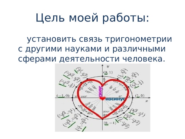 Цель моей работы:  установить связь тригонометрии с другими науками и различными сферами деятельности человека. 