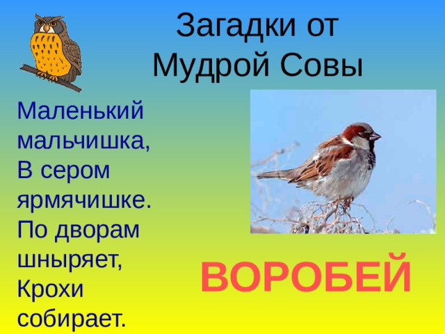 Загадки от Мудрой Совы Маленький мальчишка, В сером ярмячишке. По дворам шныряет, Крохи собирает. ВОРОБЕЙ 