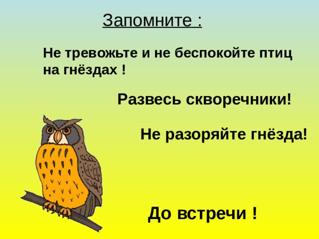 Запомните :  Не тревожьте и не беспокойте птиц на гнёздах ! Развесь скворечники! Не разоряйте гнёзда! До встречи ! 