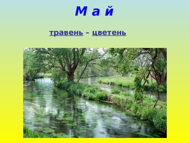 М а й  травень – цветень 