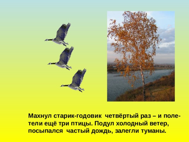 Махнул старик-годовик четвёртый раз – и поле- тели ещё три птицы. Подул холодный ветер, посыпался частый дождь, залегли туманы. 