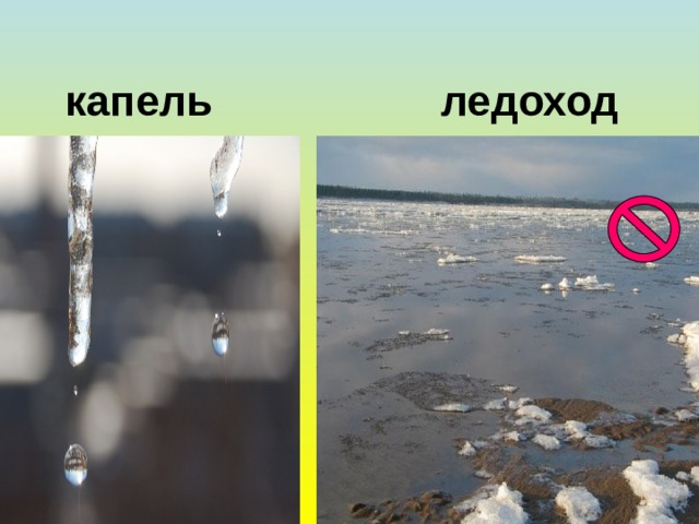 капель ледоход 