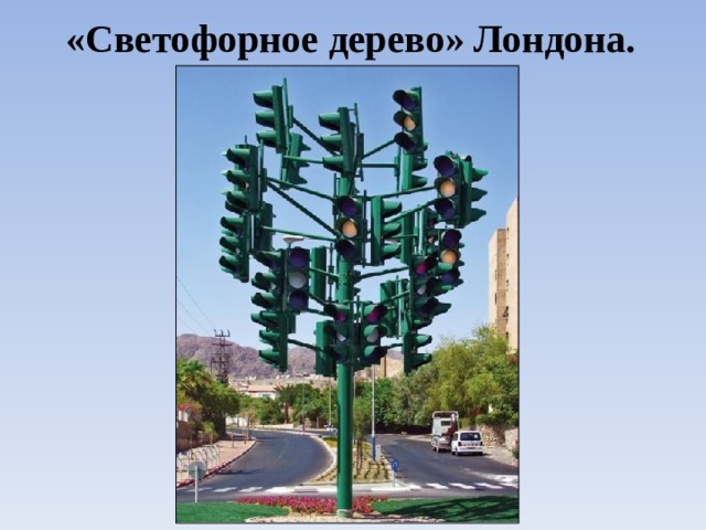«Светофорное дерево» Лондона. 