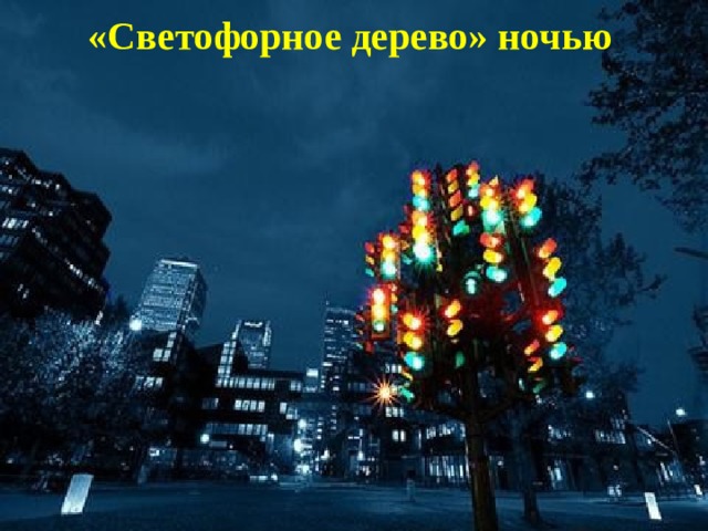 «Светофорное дерево» ночью 