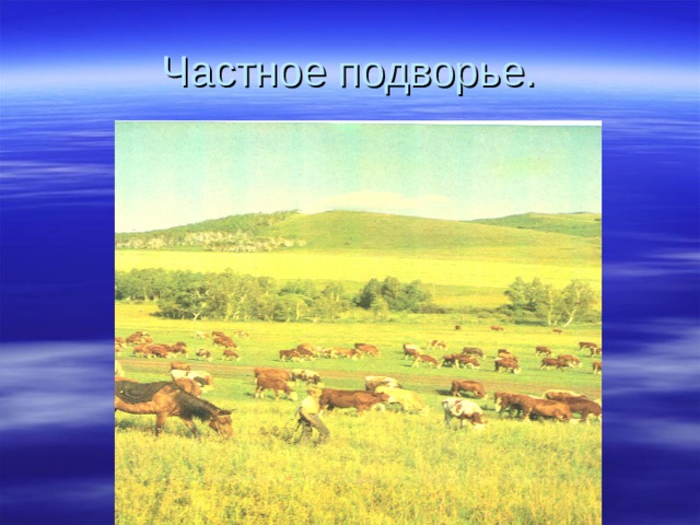 Частное подворье. 