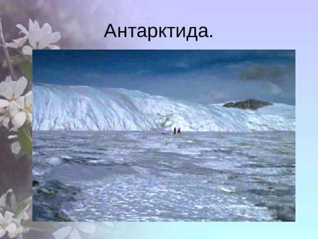 Антарктида. 
