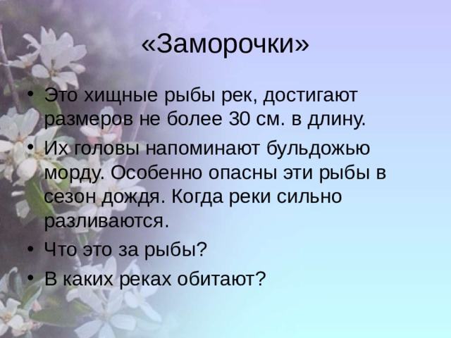 «Заморочки» Это хищные рыбы рек, достигают размеров не более 30 см. в длину. Их головы напоминают бульдожью морду. Особенно опасны эти рыбы в сезон дождя. Когда реки сильно разливаются. Что это за рыбы? В каких реках обитают? 