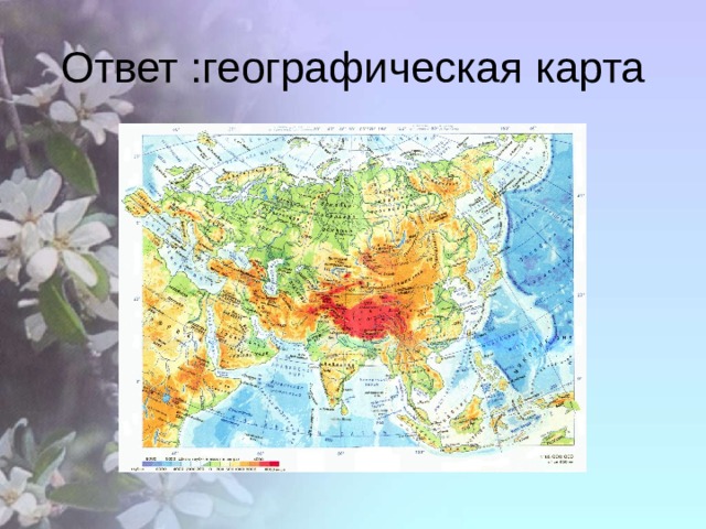 Ответ :географическая карта 