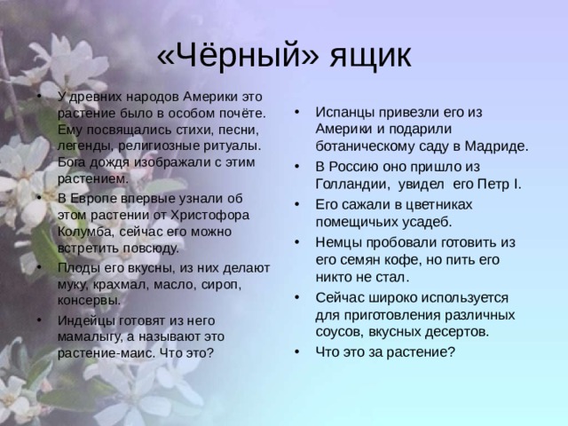 «Чёрный» ящик У древних народов Америки это растение было в особом почёте. Ему посвящались стихи, песни, легенды, религиозные ритуалы. Бога дождя изображали с этим растением. В Европе впервые узнали об этом растении от Христофора Колумба, сейчас его можно встретить повсюду. Плоды его вкусны, из них делают муку, крахмал, масло, сироп, консервы. Индейцы готовят из него мамалыгу, а называют это растение-маис. Что это? Испанцы привезли его из Америки и подарили ботаническому саду в Мадриде. В Россию оно пришло из Голландии, увидел  его Петр I . Его сажали в цветниках помещичьих усадеб. Немцы пробовали готовить из его семян кофе, но пить его никто не стал. Сейчас широко используется для приготовления различных соусов, вкусных десертов. Что это за растение? 
